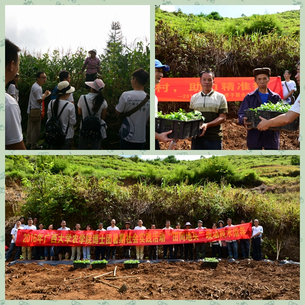 田间地头，实地演练